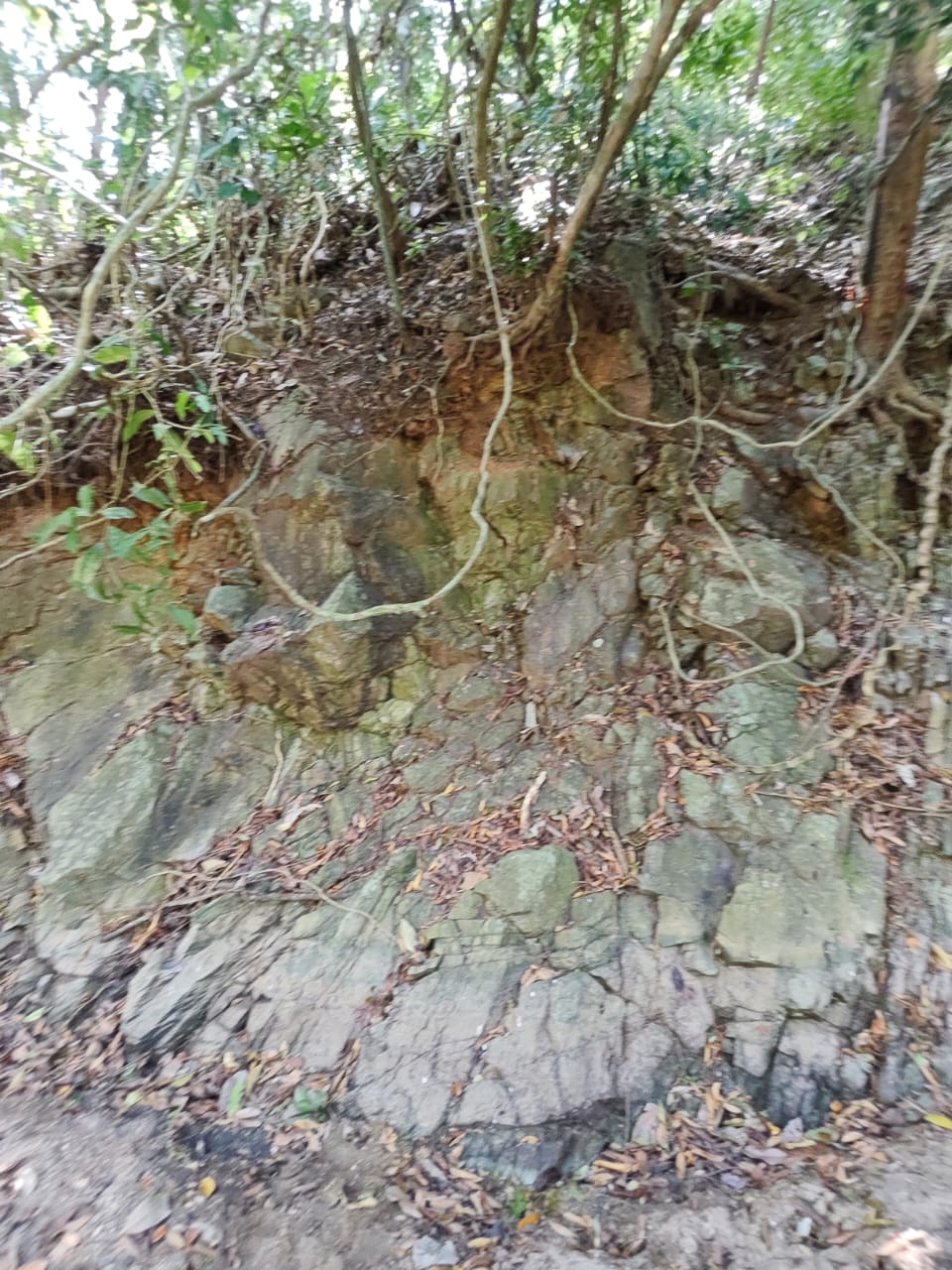 Rock mass outcrop