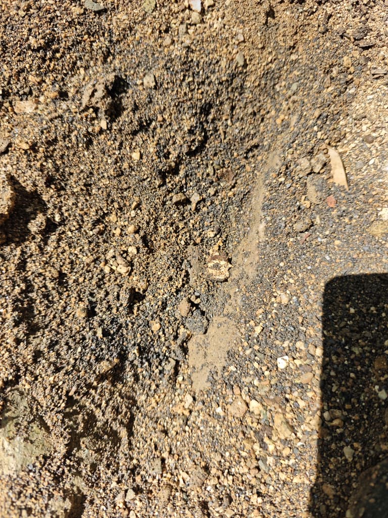 Placer sand with heavy minerals