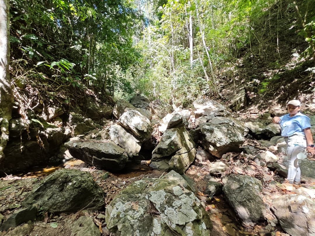 Metamorphic blocks in the riverbed