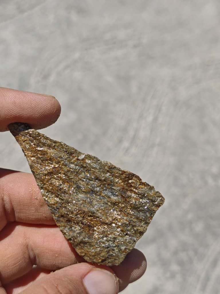 Schist fragment with mineralization