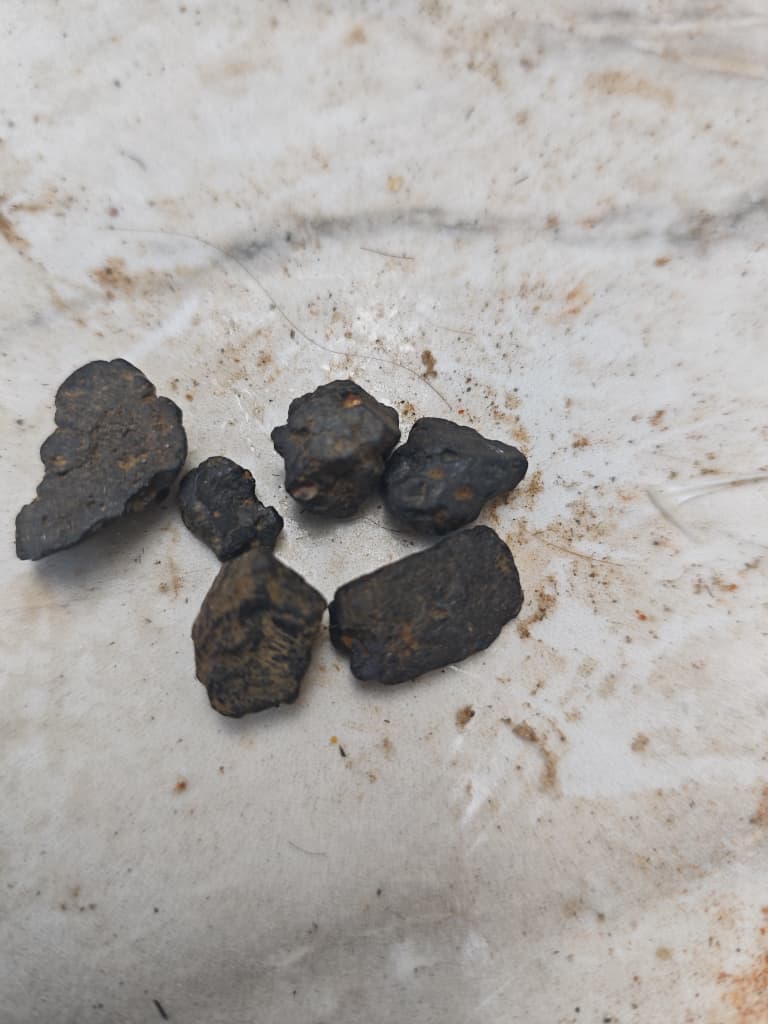 Ferromagnetic grains