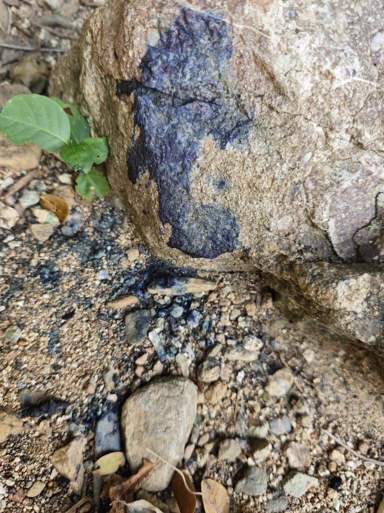 Secondary mineralization on rock